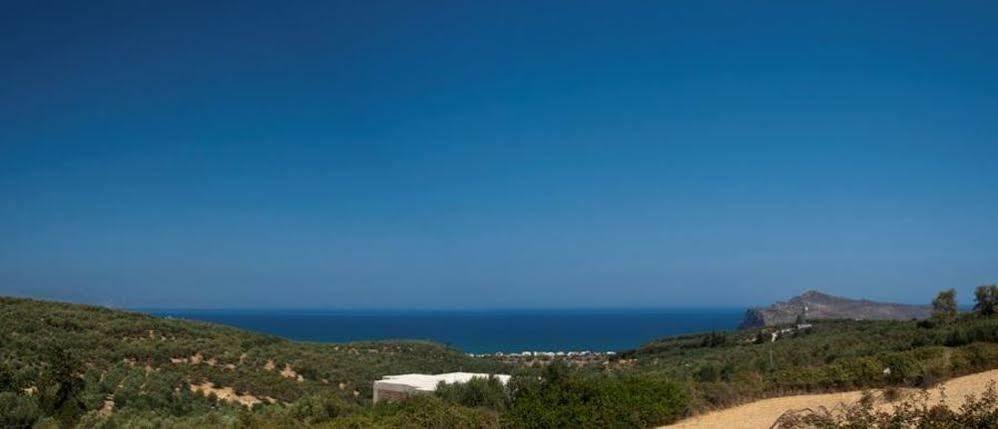Villa Ariella With Sea View Agia Marina المظهر الخارجي الصورة